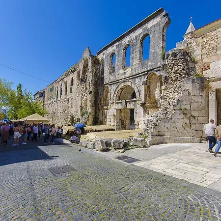 Wild Rose 斯普利特