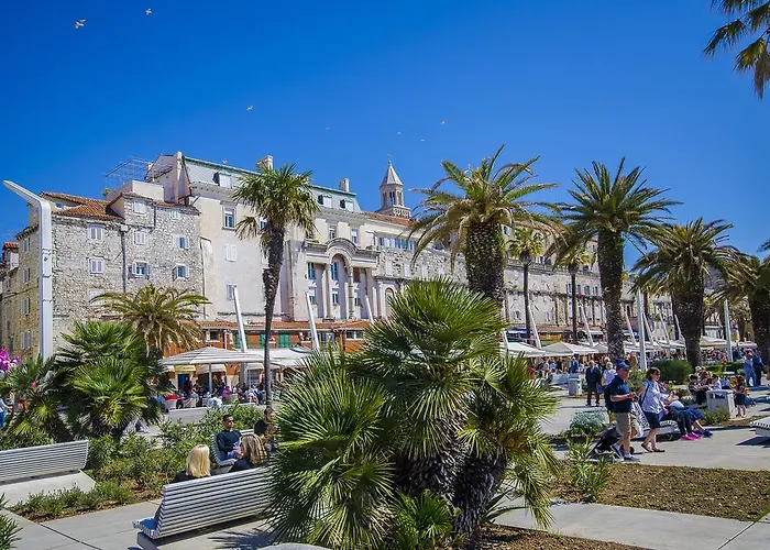 Wild Rose 3* Сплит